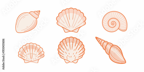 A collection of six pastel orange seashell illustrations on a white background