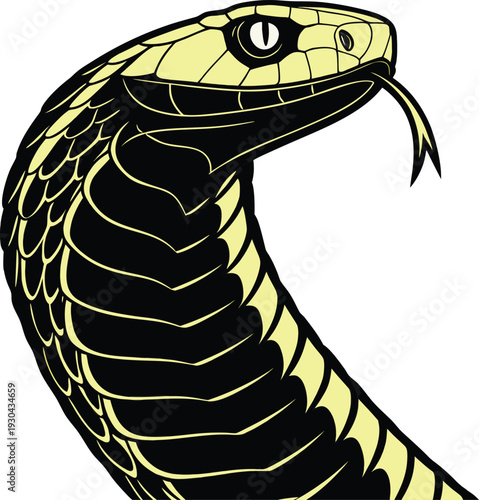 Snake head vector illustration with a flicking tongue and sharp scales features a bold black and yellow mascot design for sports team logos.