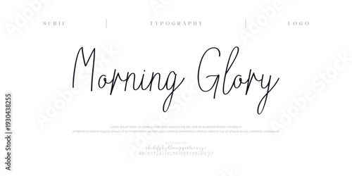 Morning Glow, Hand drawn vector alphabet. Modern monoline signature script font. Elegant Signature Font. Best Alphabet Beautiful Calligraphy Signature Font
