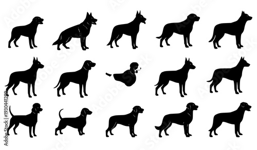 Standing dog silhouettes vector set isolated on white background