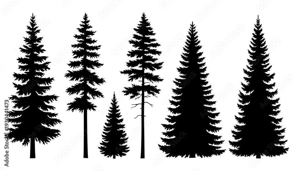 Fototapeta premium Realistic pine and spruce tree silhouettes vector set isolated on white