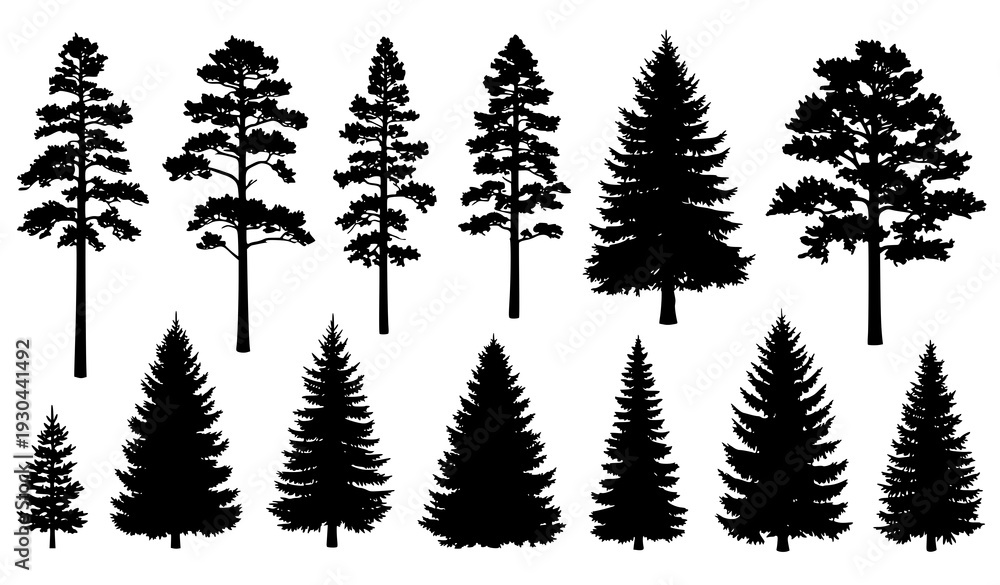 Fototapeta premium Realistic pine and spruce tree silhouettes vector set isolated on white