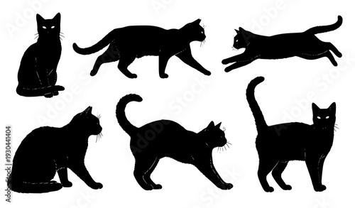 Realistic cat silhouettes vector set isolated on white background