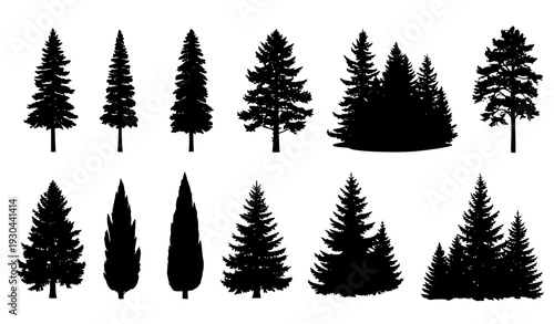 Pine and spruce tree silhouettes vector collection isolated on white background