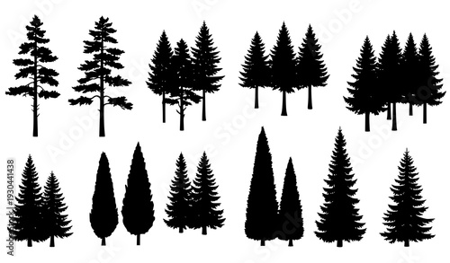 Pine and spruce tree silhouettes vector collection isolated on white background