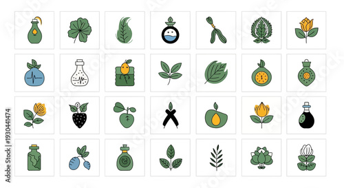 Herbal and Natural Medicine Icons Collection, Organic Health and Botanical Remedy Flat Vector Set