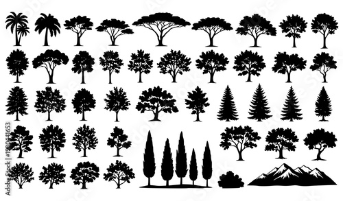 Big set of tree silhouettes from different natural zones isolated vector illustration