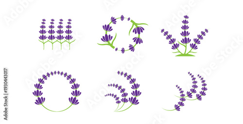 Lavender plant arrangements, sprigs, wreaths, and bouquets for floral design elements