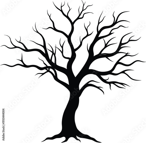 A black bare tree branch with smaller twigs extending, set against a transparent backdrop