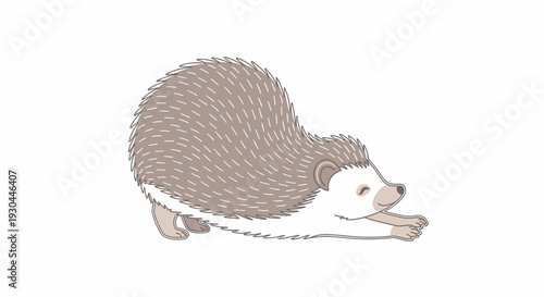 Hedgehog Illustration with Spiky Back.