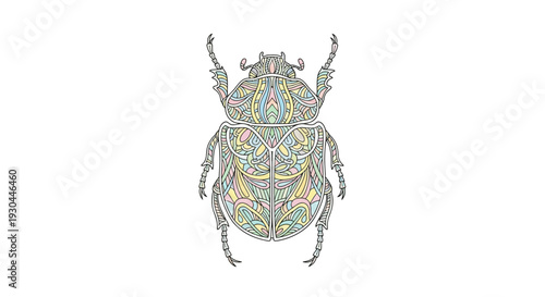 Detailed Illustration of a Beetle Insect.