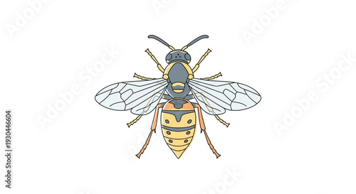 Yellow and Black Bee Illustration Closeup.