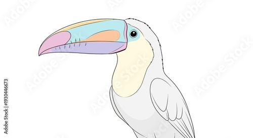 Colorful Toucan Bird Beak Illustration.
