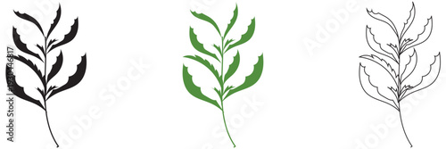  Wild Herb Silhouettes Vector Set Isolated. Collection of  wild herb silhouettes in flat vector style, isolated on white background for eco design and natural themes.