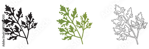  Wild Herb Silhouettes Vector Set Isolated. Collection of  wild herb silhouettes in flat vector style, isolated on white background for eco design and natural themes.