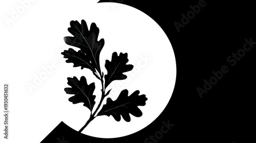 Stylized, black and white depiction of oak leaves on a branch, set against geometric shapes