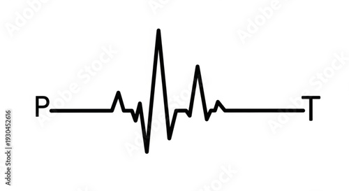 Ecg heartbeat waveform with p and t labels on a white background