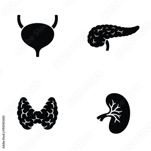 Human organ icon set with bladder, pancreas, thyroid and kidney medical silhouettes