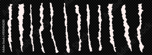 Ripped pieces of paper stripes torn edge set. Ripped strips of white colors at transparent background. Ripped newspaper clip art. Ripped paper note border grunge brush stroke