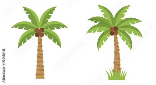 Two stylized palm trees with coconuts against a white background