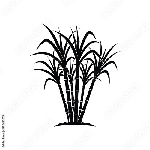 Black silhouette of sugar cane stalks on white background