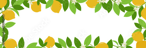 Horizontal banner with frame of lemon branches, leaves and flowers. Citrus frame template. Vector illustration.