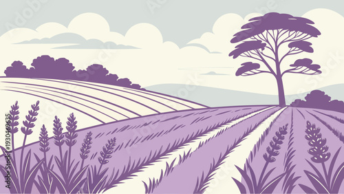 landscape with lavender field