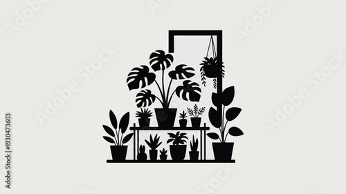 Black silhouette of plants on shelves potted plants