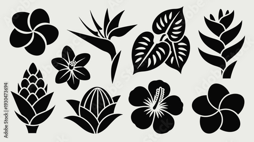 Black silhouettes of nine tropical flowers and leaves