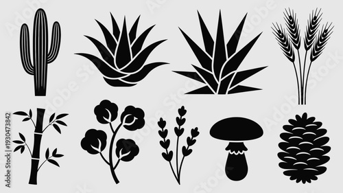 Black silhouettes of various plants and fungi on light gray background