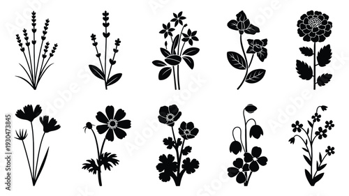 Black silhouettes of various flowers and plants on white background