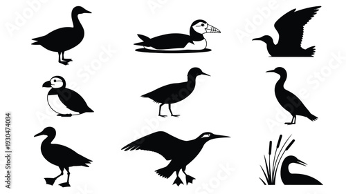 Nine bird silhouettes on white background black and white