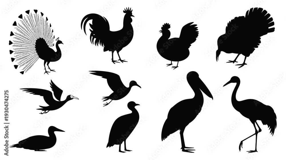 Obraz premium Nine bird silhouettes on white background black birds