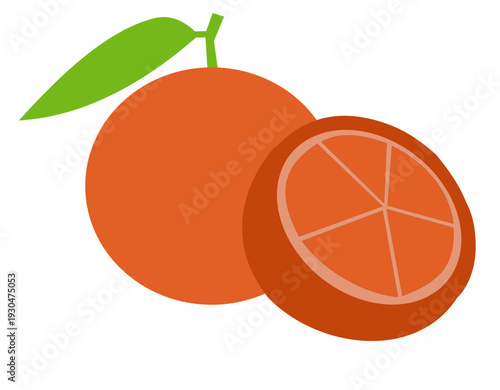 vector illustration of orange fruit