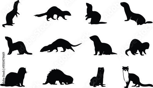 Ferret silhouette vector mega set. Weasel and mink style mammals in different poses. Wild carnivore icons isolated for wildlife logo, nature branding and tattoo design.