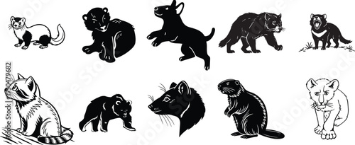 Wild carnivore silhouette vector set. Ferret, bear, wolf, wolverine and big cat collection. Forest predator icons isolated for wildlife logo, tattoo and nature branding.