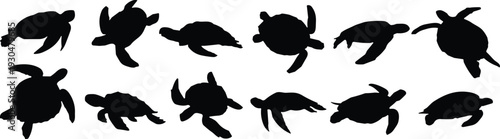 Sea turtle silhouette mega set. Marine reptile collection in various swimming poses. Ocean wildlife icons isolated for logo design, aquarium branding and coastal graphics.