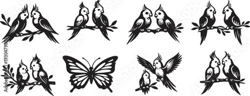 Lovebird and butterfly silhouette vector set. Cute parrots sitting on branches in black. Romantic tropical bird icons isolated for wedding logo, tattoo and nature design.