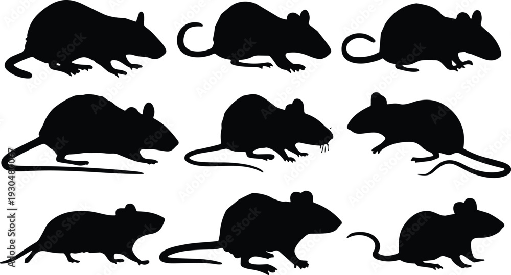 Fototapeta premium Mouse silhouette vector set. Black small rodent collection in different poses and angles. Pest animal icons isolated for biology study, logo design and wildlife graphics.