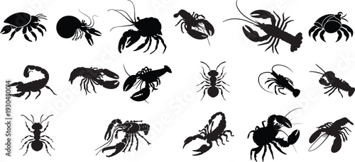 Crustacean and insect silhouette vector set. Black crab, lobster, scorpion and ant collection. Marine and arthropod icons isolated for logo, tattoo, wildlife and seafood design.