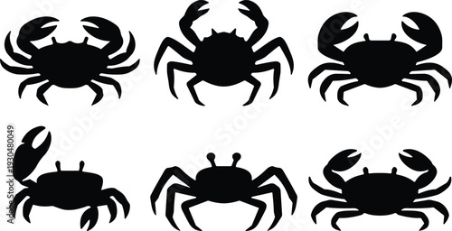 Crab silhouette icon set. Black sea crab collection in flat vector style. Marine crustacean shapes isolated for seafood branding, logo design and coastal themes.