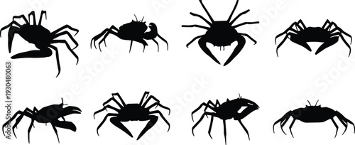 Crab silhouette vector set. Black marine crustacean collection in different poses. Sea animal icons isolated for logo, tattoo, seafood branding and ocean design.