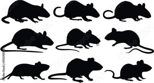Mouse silhouette vector set. Black small rodent collection in different poses and angles. Pest animal icons isolated for biology study, logo design and wildlife graphics.