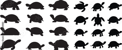 Turtle and tortoise silhouette vector mega set. Marine and land reptile collection in various poses. Wildlife animal icons isolated for logo design, nature branding and education.