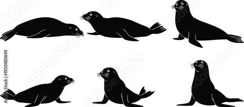 Seal silhouettes collection isolated on white background, black sea lion vector illustration set in various poses
