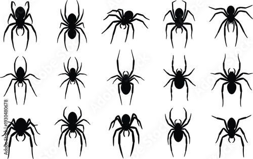 Spider silhouettes collection isolated on white background, creepy crawling arachnid icons black vector illustration set