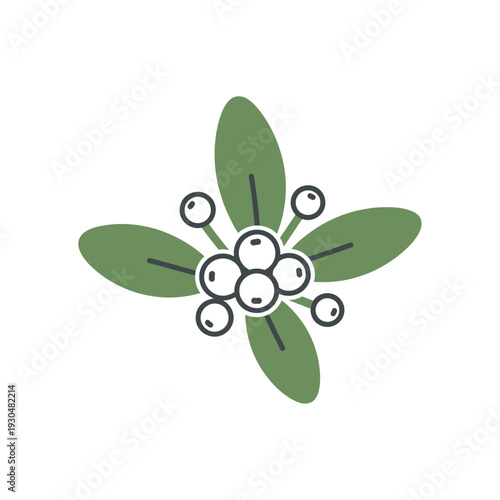 Vector mistletoe icon