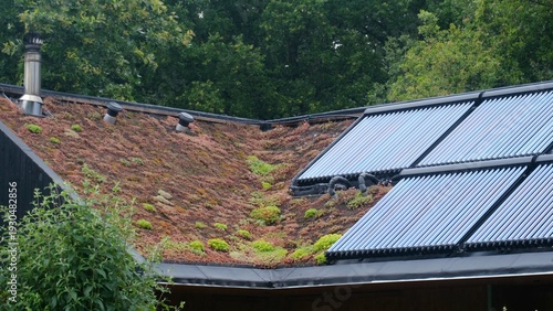 Tableau sur toile Living green roof with sedum and moss beside evacuated-tube solar thermal collec