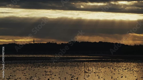 印旛沼のカモの群れと薄明光線 (音声あり)