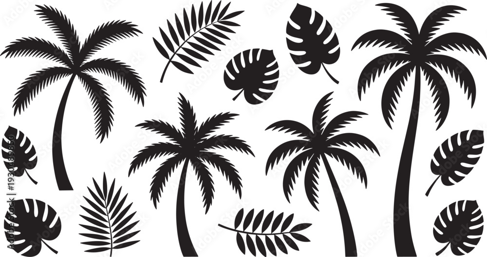 Obraz premium Various Tropical Leaves and Palm Trees monstera